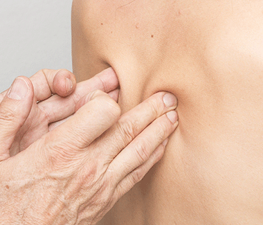Rééducation du système musculo-squelettique : techniques manuelles-PAPL Formation